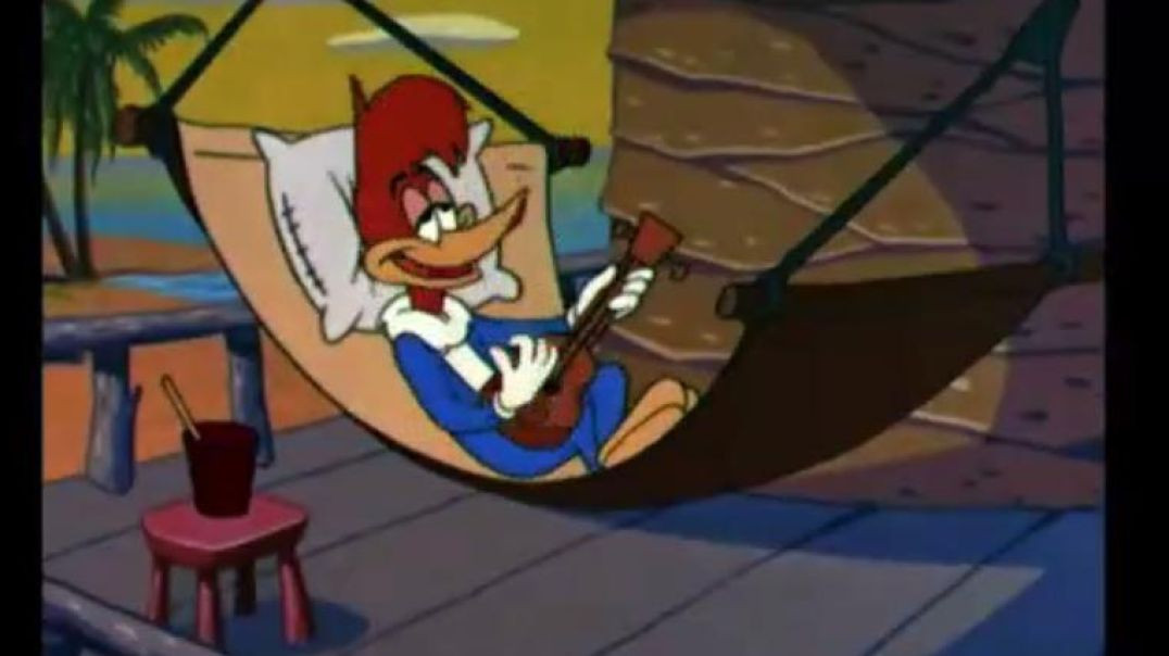 WOODY WOODPECKER - POOP DECK PIRATE