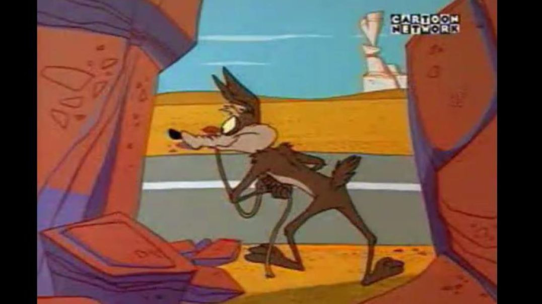 ⁣LOONEY TUNES - ROAD RUNNER AND COYOTE