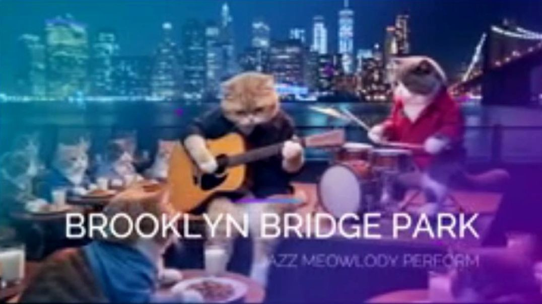 THE JAZZY CATS OF BROOKLYN (A CONCERT BY THE RIVERSIDE IN NEW YORK CITY)