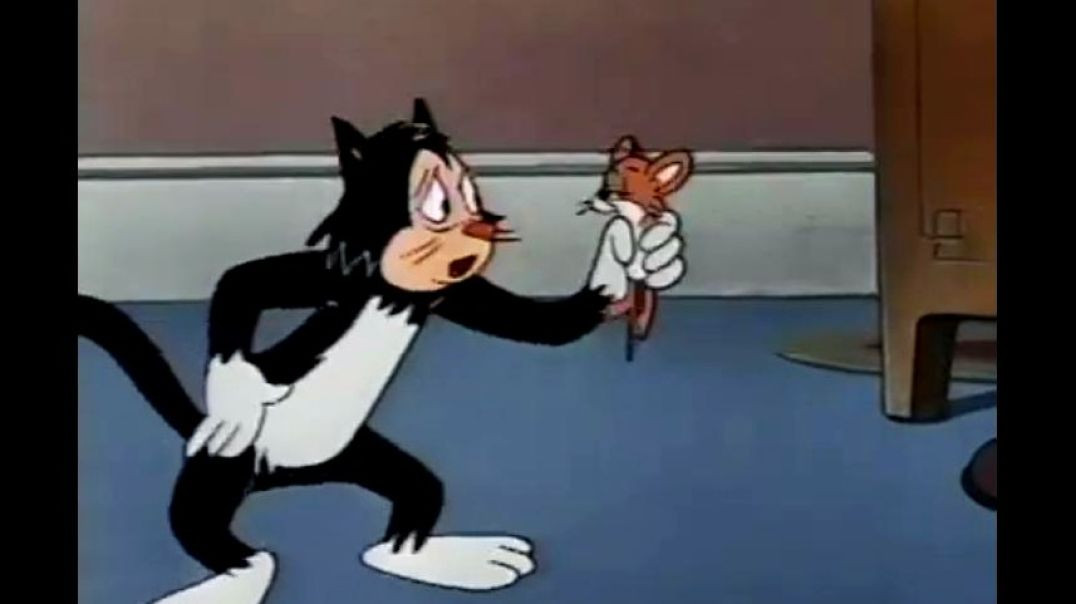 ⁣TERRYTOONS - THE HAUNTED CAT
