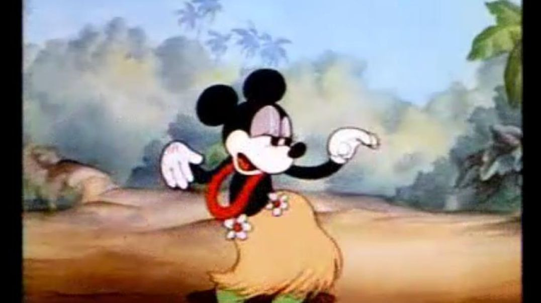 OLD DISNEY TOON-HAWAIIAN HOLIDAY