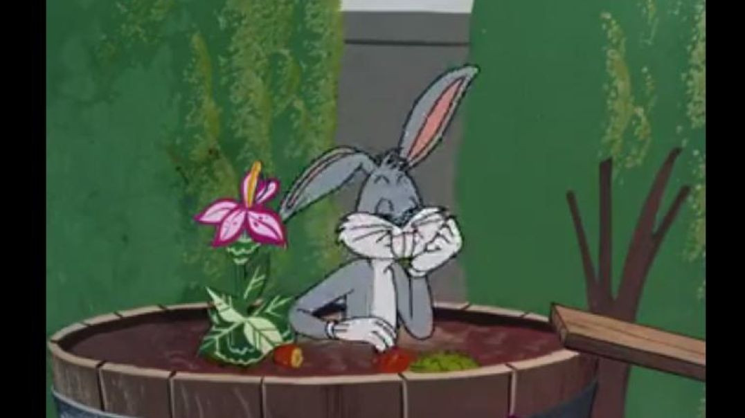 ⁣BUGS BUNNY IN ELMER`S PENTHOUSE