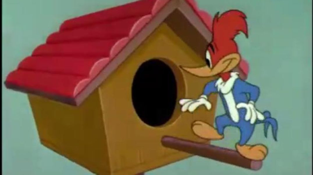 WOODY WOODPECKER IN BILLION DOLLAR BONER
