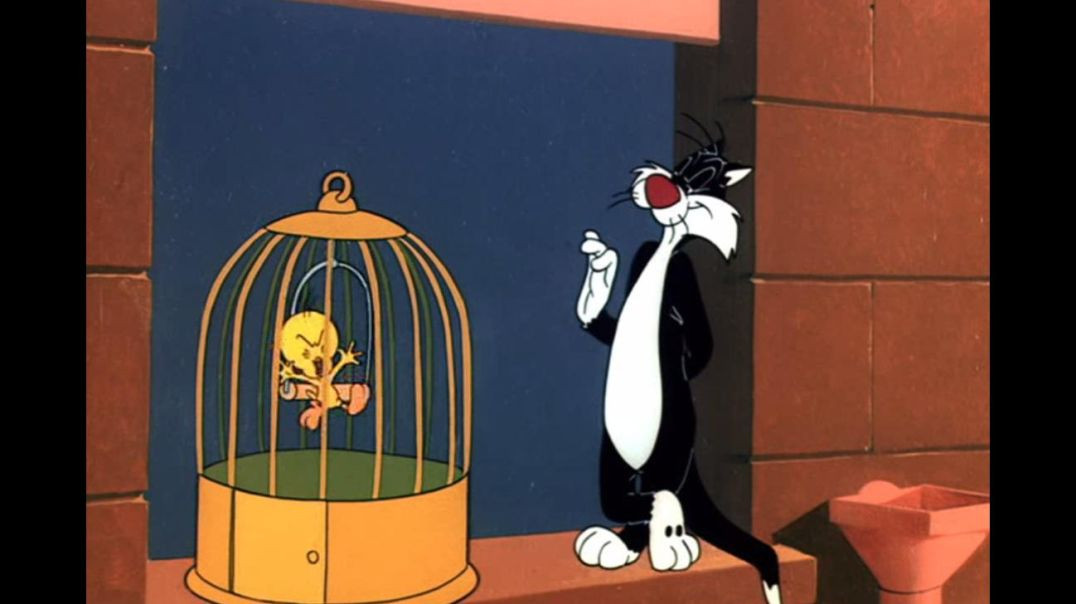 TWEETY AND SYLVESTER IN CANARY ROW