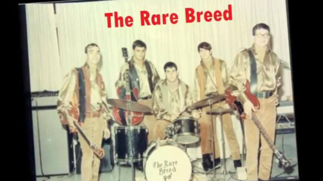 RARE BREED-BEG BORROW AND STEAL + SPANISH VERSION BY LOS MOSCAS