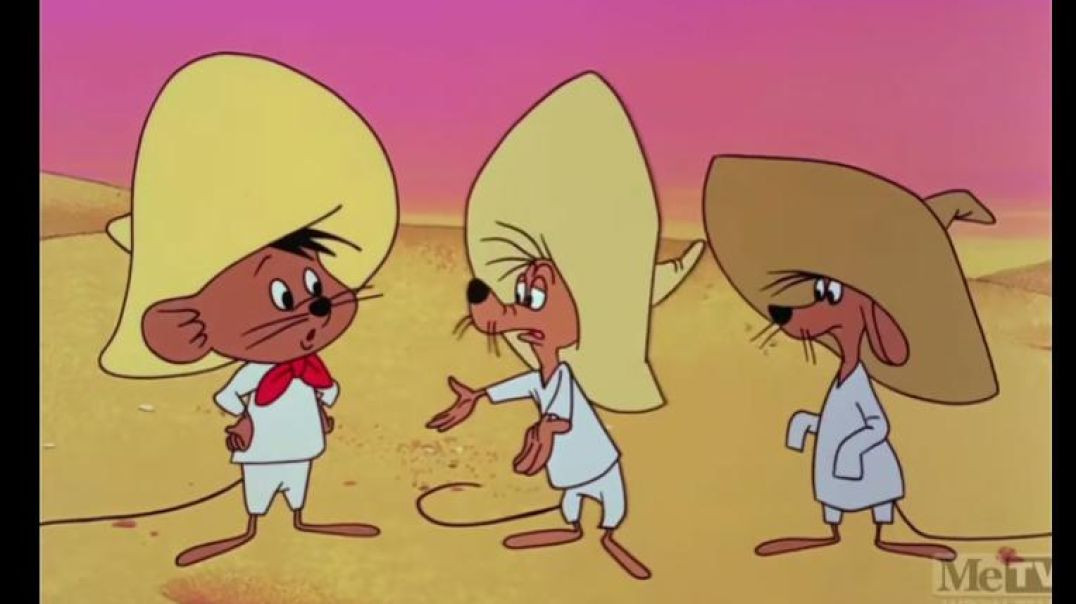 DAFFY DUCK AND SPEEDY GONZALES -  Well Worn Daffy