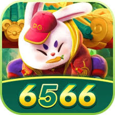 6566 6566