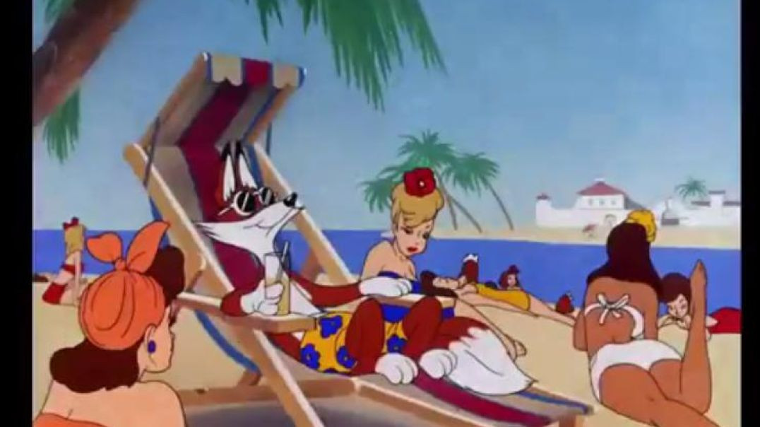 Merrie Melodies Cartoon - Fox Pop