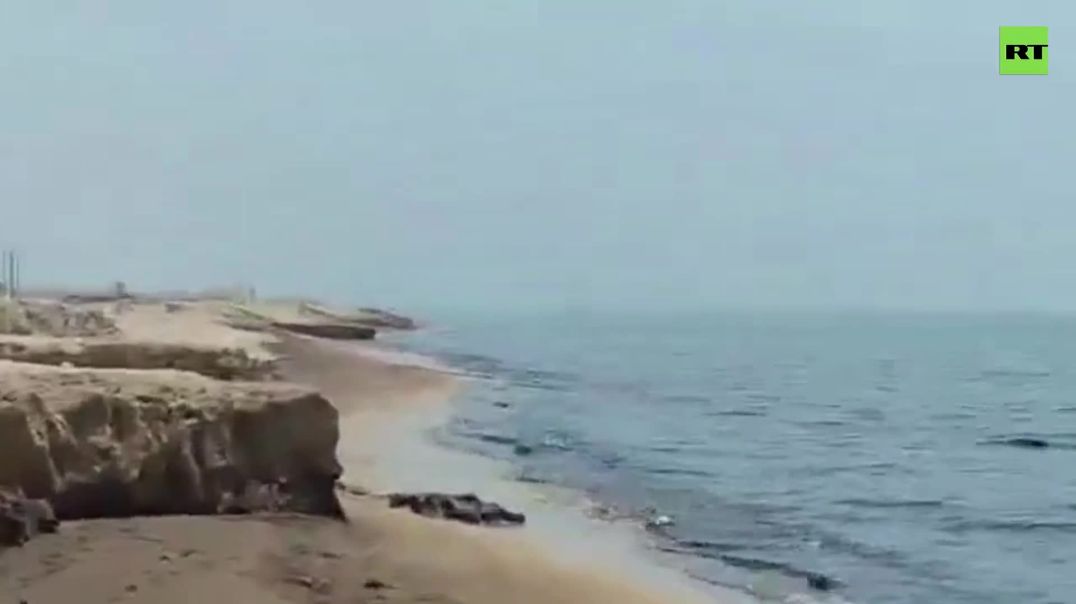 'Foreign Bulk Carrier' Reported Source of Qeshm Island Oil Pollution — Iran MFA Spox