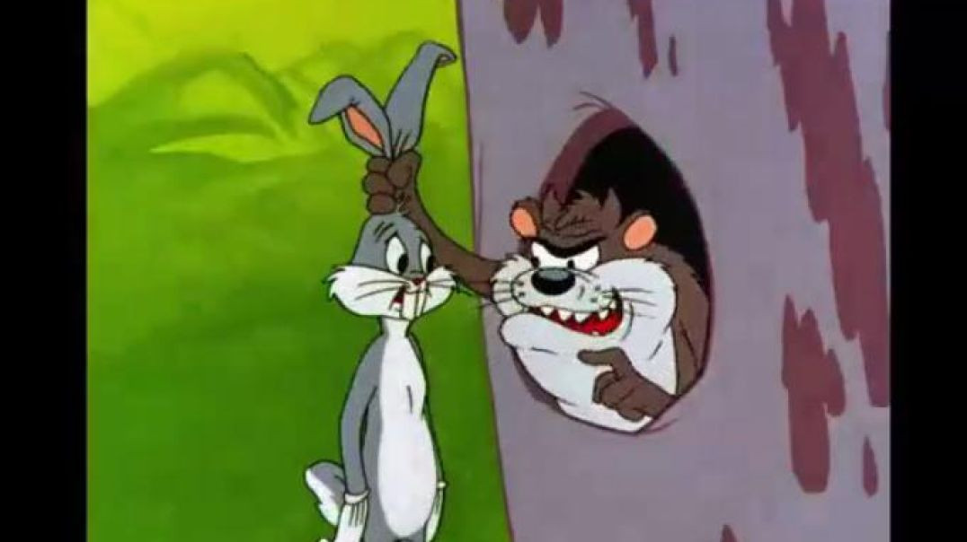 BUGS BUNNY AND TASMANIAN DEVIL