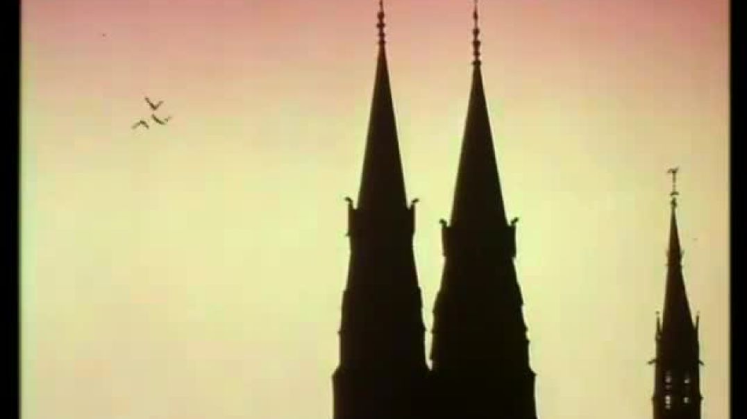 ⁣Tecknat Barn Svenska:Pelle Svanslös i Amerikatt (1985) DVDRIPPEN (Danska) Hela Filmen (4D)