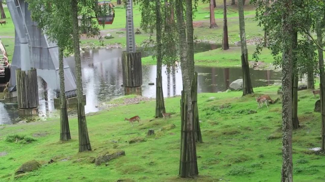 Tecknat Barn Svenska:Välkommen Till Kolmårdens Djurpark (1965-2024) DVDRIPPEN (Svenska) Trailer