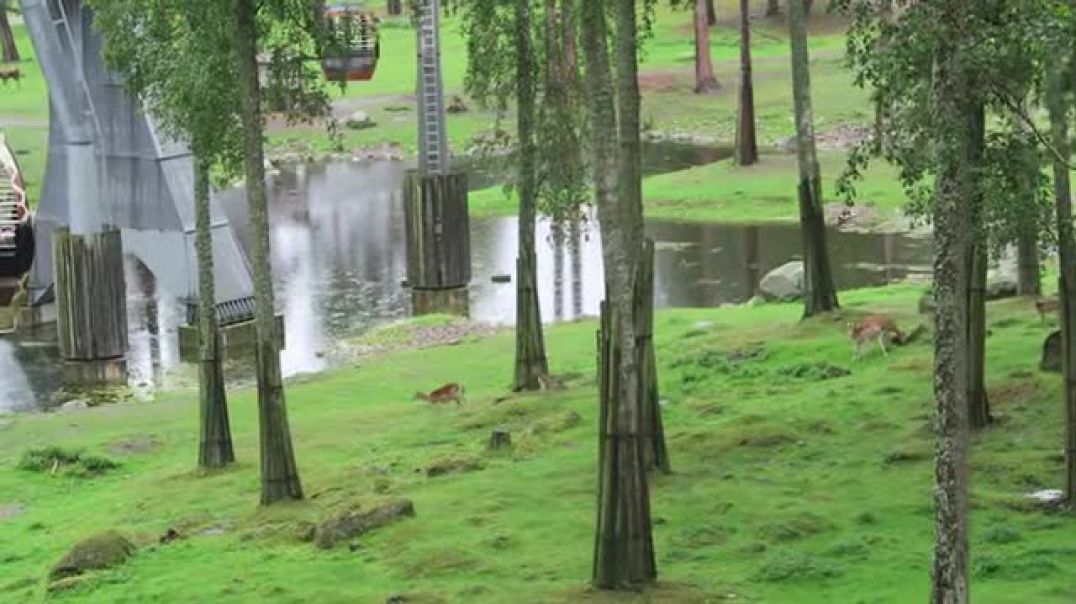 Tecknat Barn Svenska:Välkommen Till Kolmårdens Djurpark (1965-2024) DVDRIPPEN (Svenska) Trailer (HD)